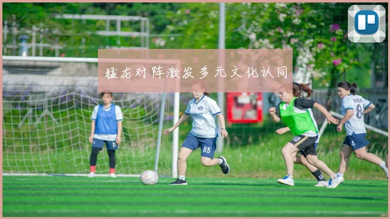 猛龙对阵激发多元文化认同