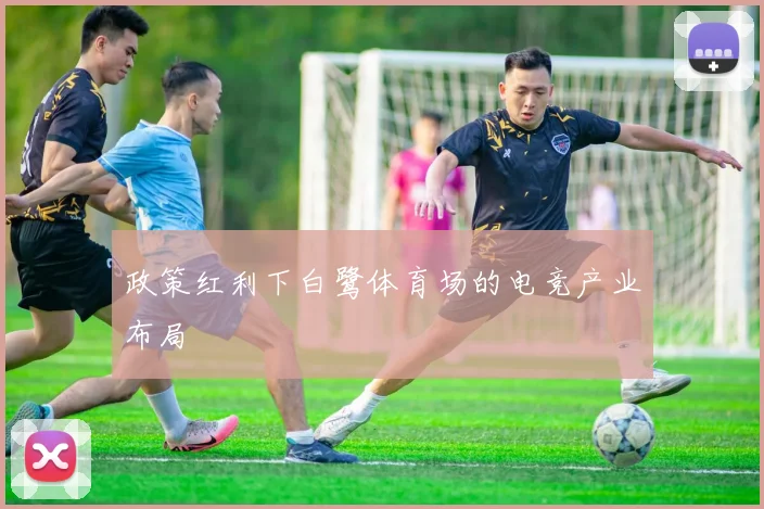 政策红利下白鹭体育场的电竞产业布局