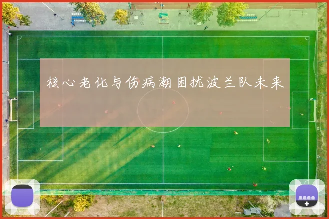 核心老化与伤病潮困扰波兰队未来