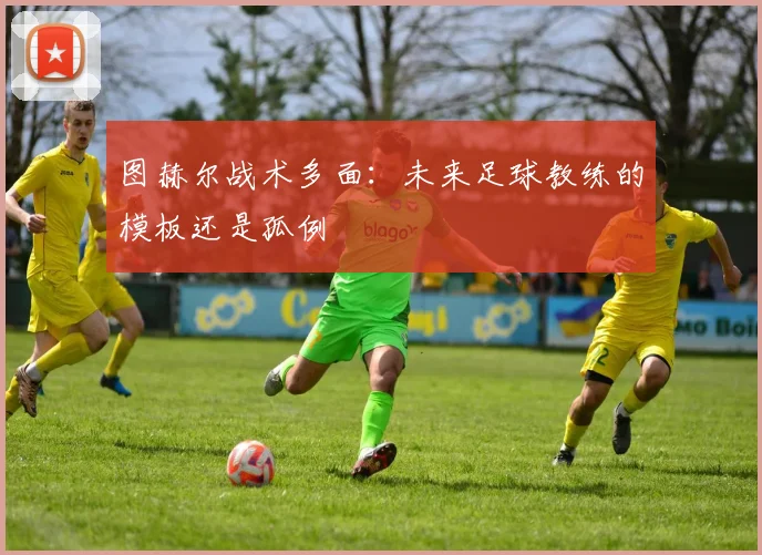 图赫尔战术多面：未来足球教练的模板还是孤例